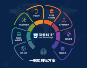 MT4平台提供商、购买成本及网站建设维护全解析